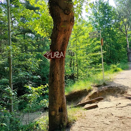 Loft House Rozewie Sauna & Goraca Balia