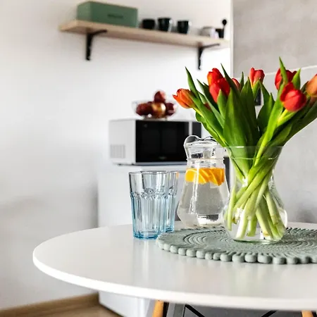 Appartement Loft House Rozewie Sauna & Goraca Balia Jastrzębia Góra