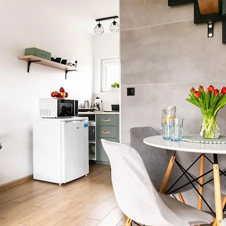 Loft House Rozewie Sauna & Goraca Balia Appartement *