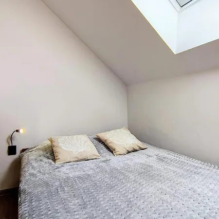 Loft House Rozewie Sauna & Goraca Balia Apartment *