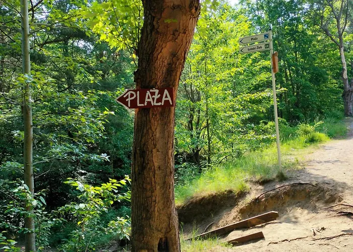 Loft House Rozewie Sauna & Goraca Balia